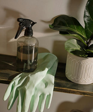 Bond Cleaning