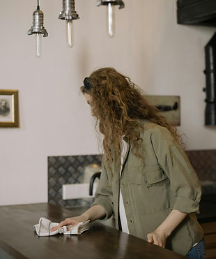 Domestic Cleaning