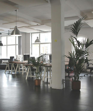 Commercial & Office Cleaning